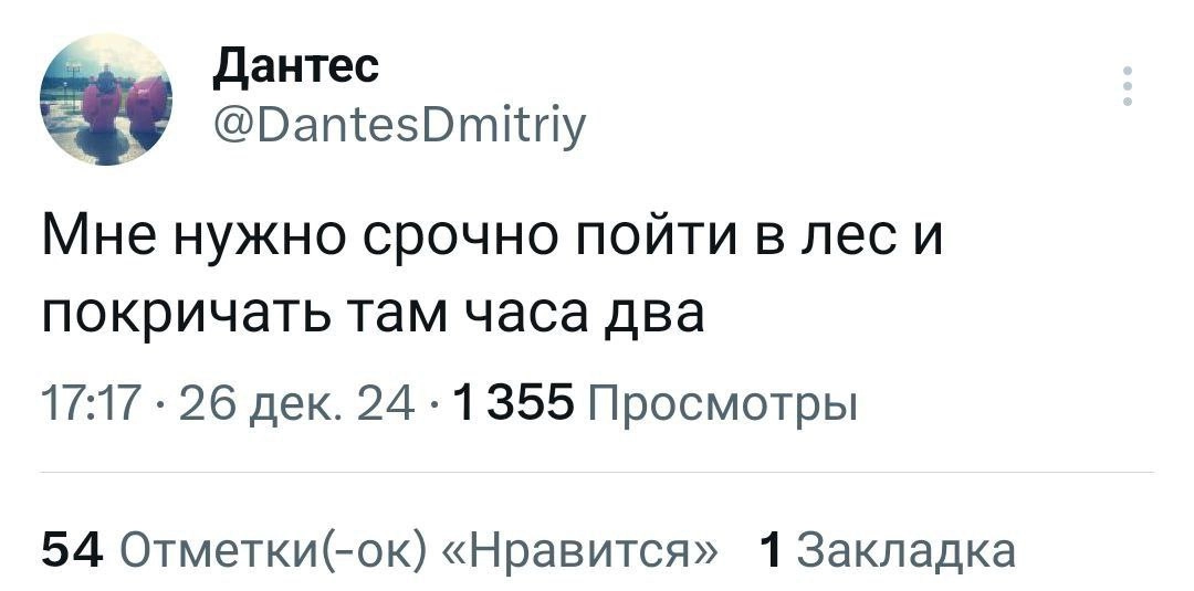 И обнять березу🌳 | Сетка — новая социальная сеть от hh.ru