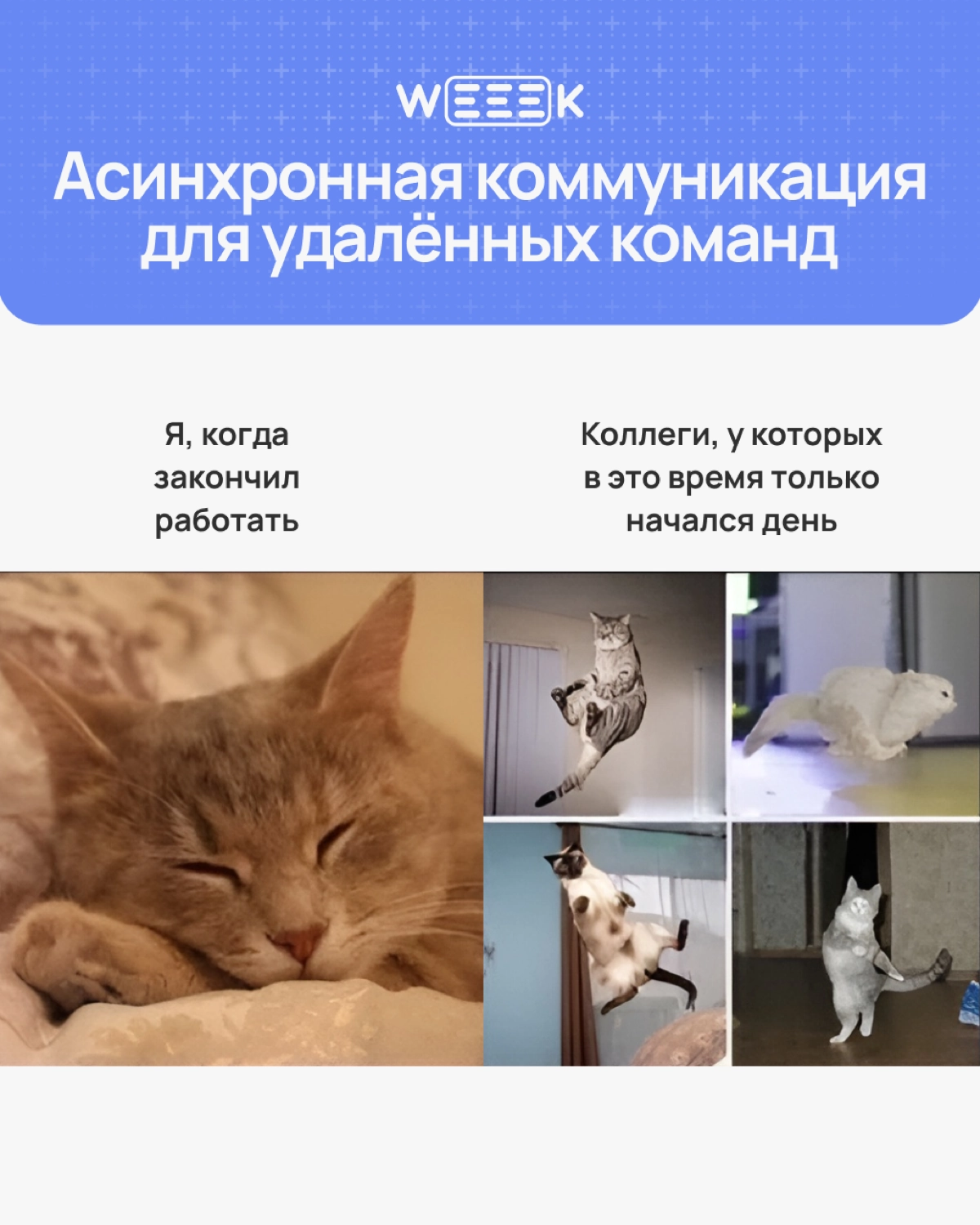 Про распределенную команду | Сетка — новая социальная сеть от hh.ru