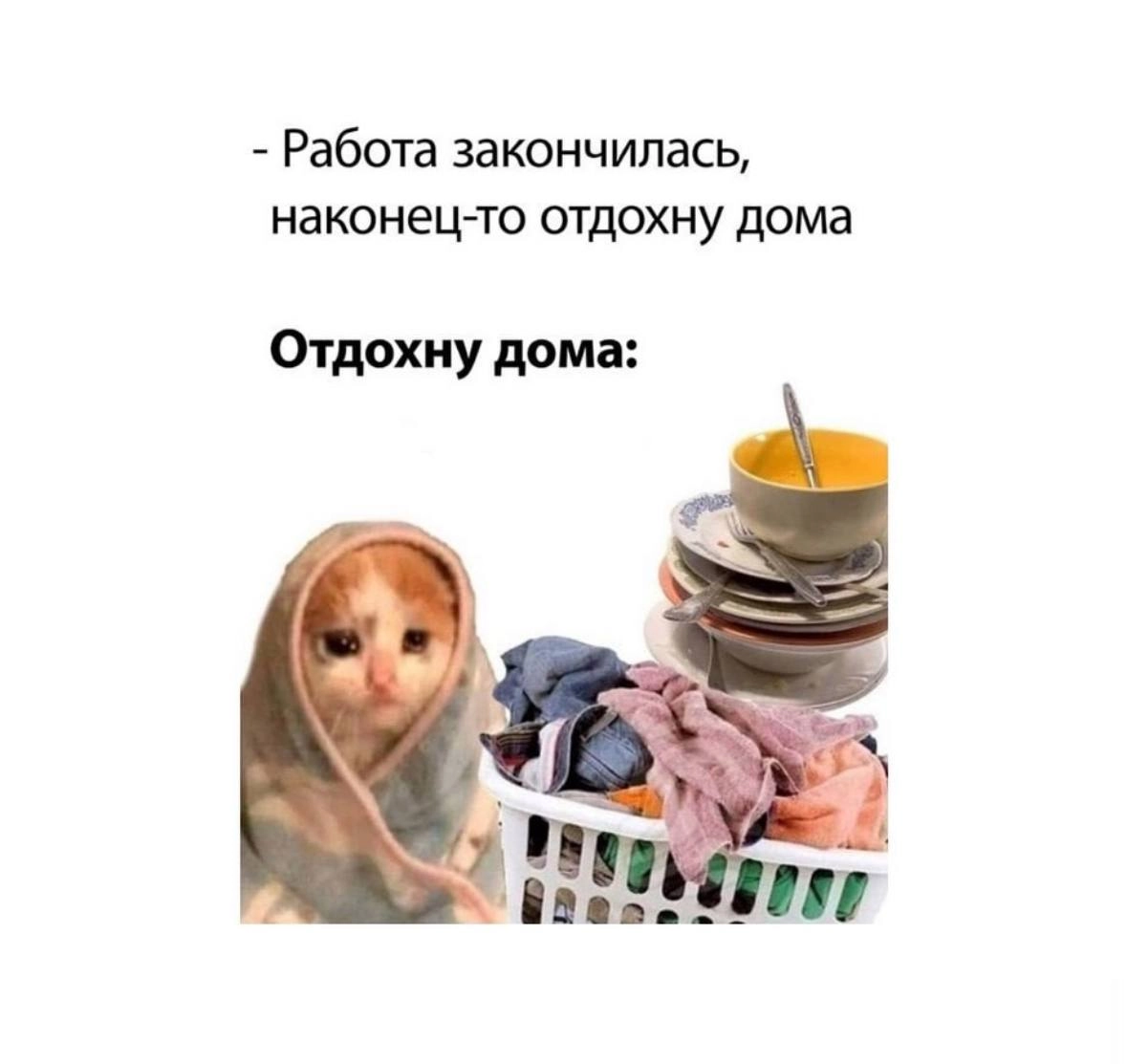 Ваш повод немного улыбнуться и посмеяться 💚 | Сетка — новая социальная сеть от hh.ru