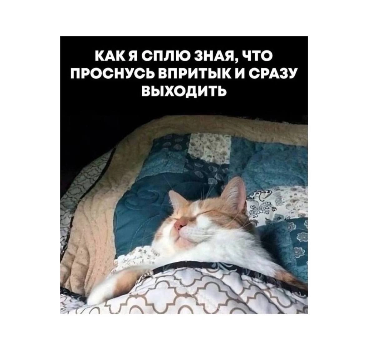 Ваш повод немного улыбнуться и посмеяться 💚 | Сетка — новая социальная сеть от hh.ru