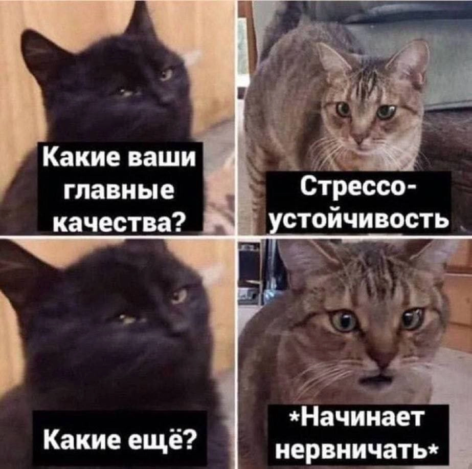 Сетка — новая социальная сеть от hh.ru