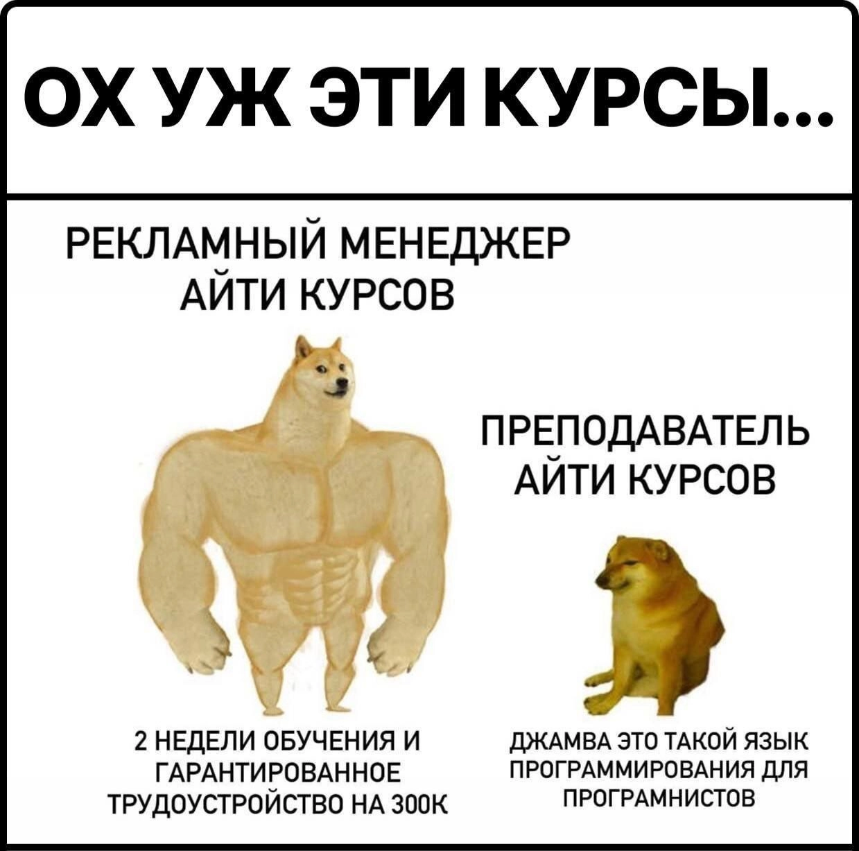 Было? | Сетка — новая социальная сеть от hh.ru