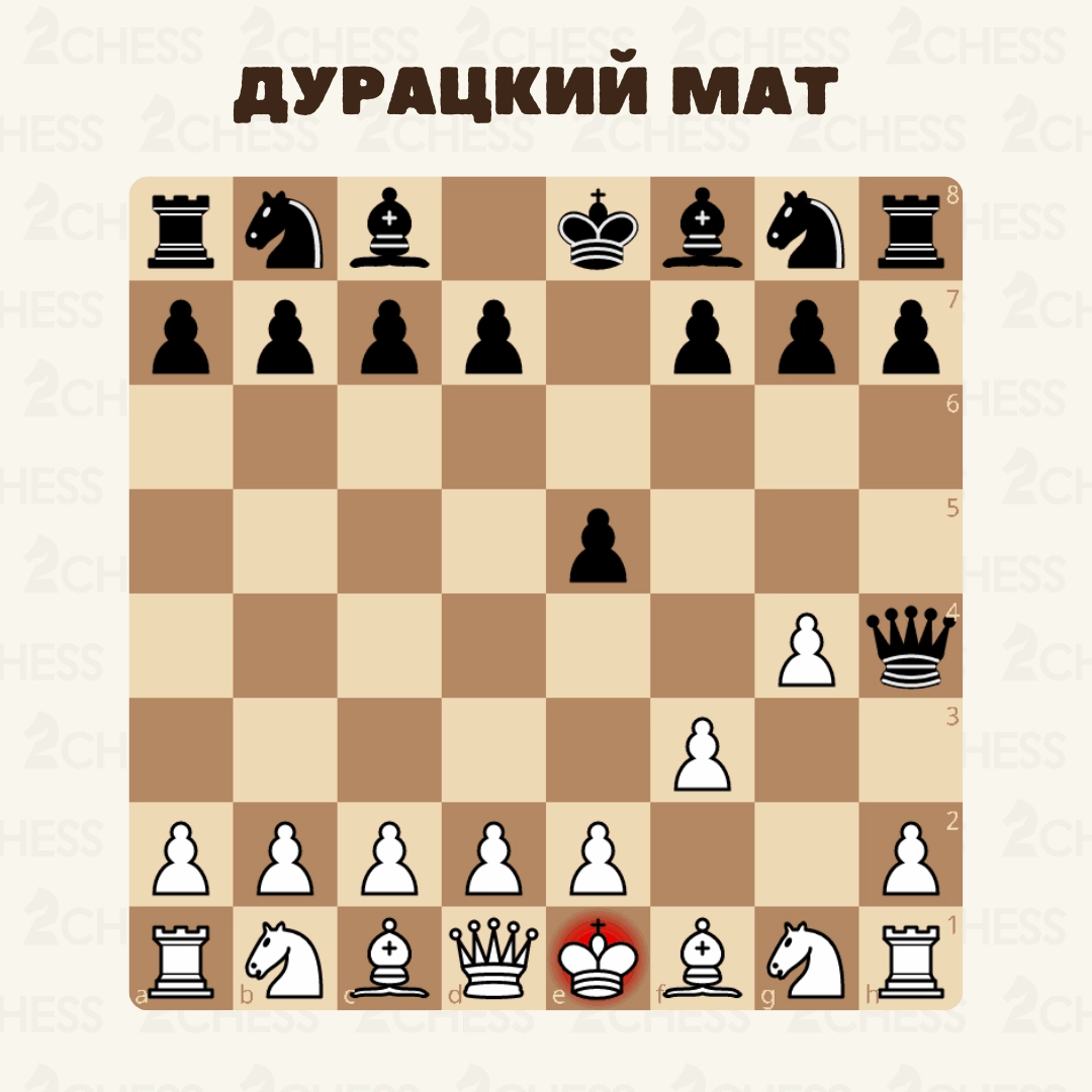 😔 Дурацкий мат — самый быстрый вариант победы в шахматах | Сетка — новая социальная сеть от hh.ru
