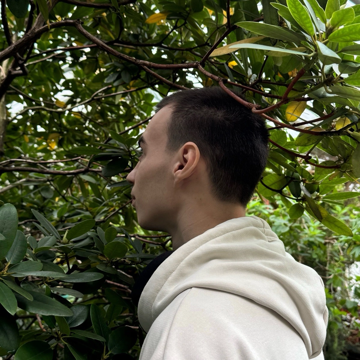 profile avatar
