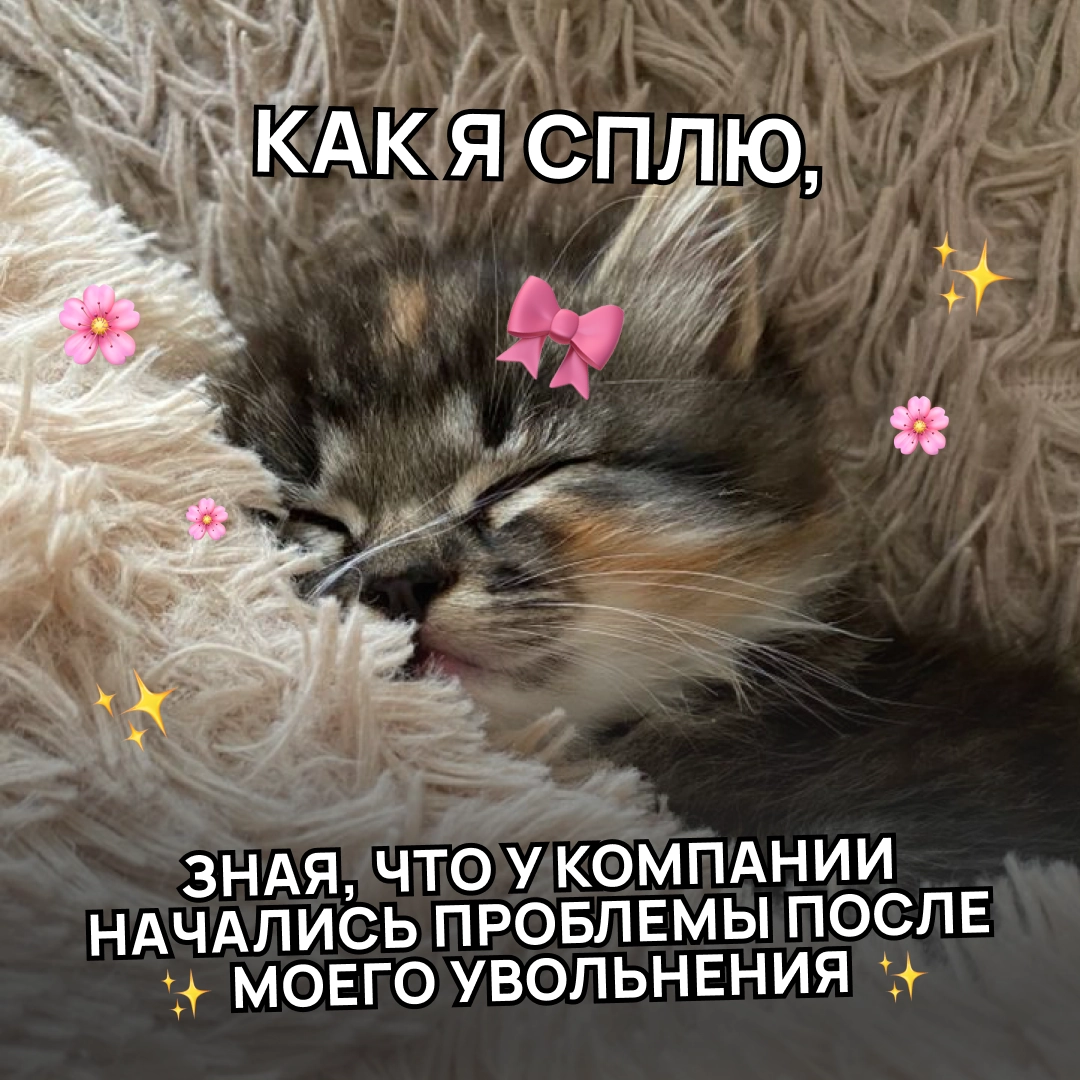 Они там сами разберутся | Сетка — новая социальная сеть от hh.ru