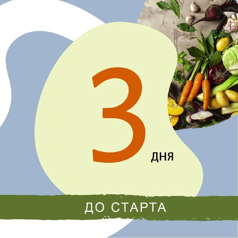 Ребята еще есть возможность записаться в марафон. Кто с нами? | Сетка — новая социальная сеть от hh.ru