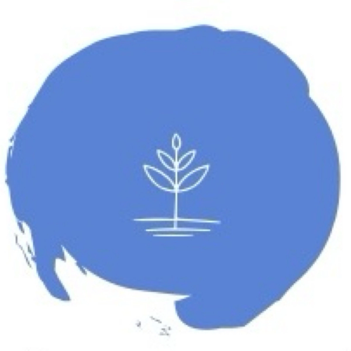 community avatar