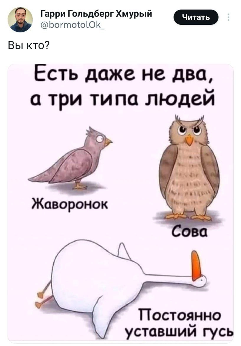 Утреннее понедельничное отпускное 🌴 | Сетка — новая социальная сеть от hh.ru