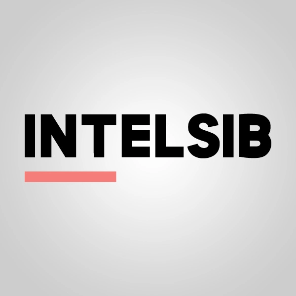 проджекты, Intelsib