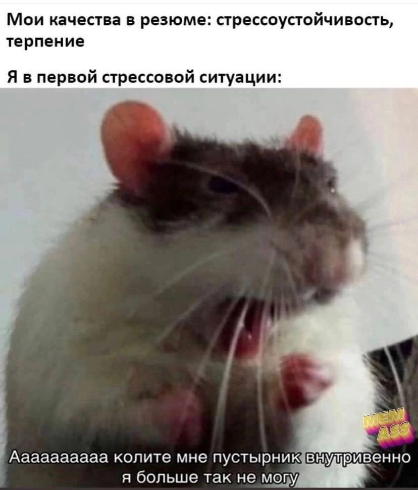 Сетка — новая социальная сеть от hh.ru