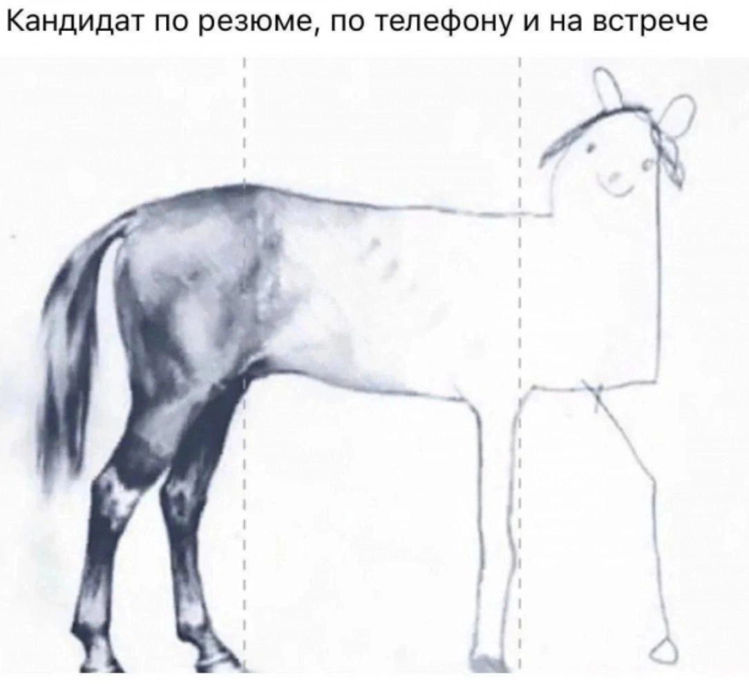 Сетка — новая социальная сеть от hh.ru