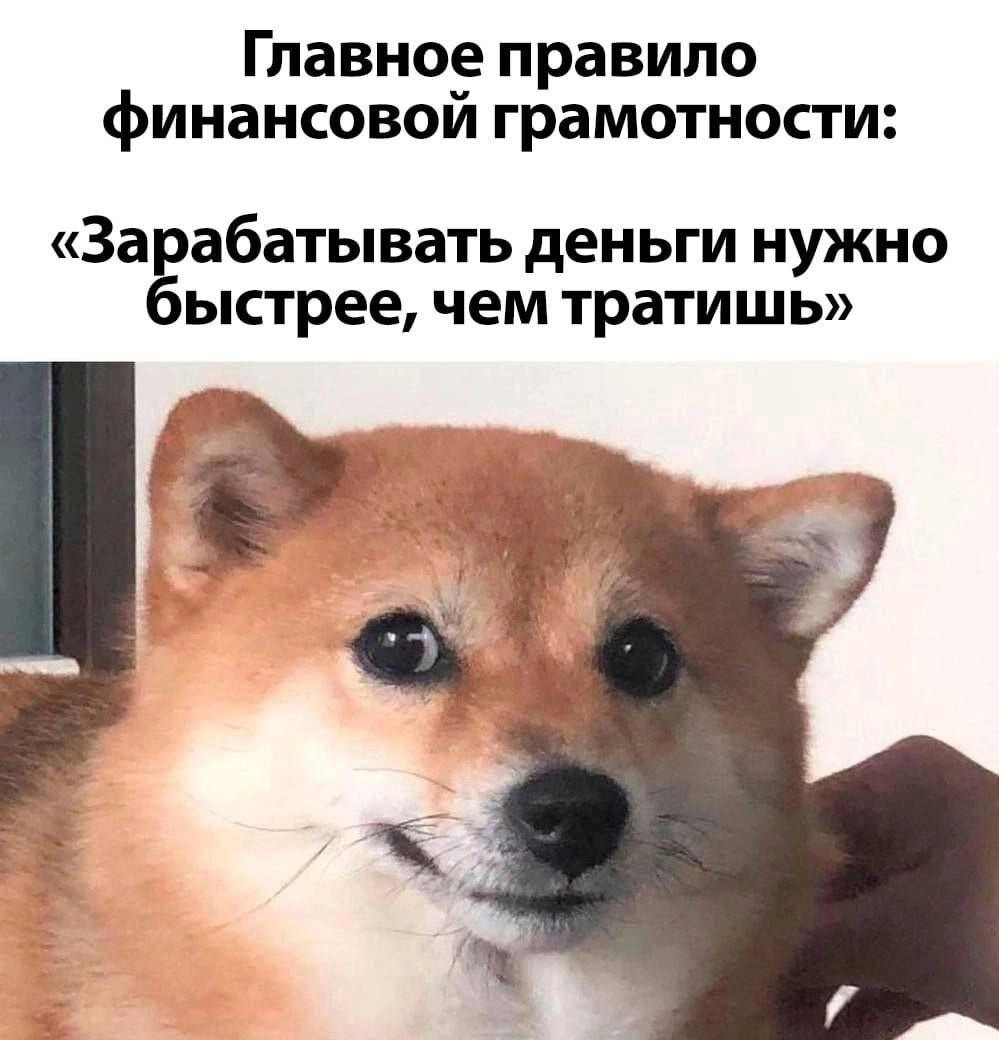 Сетка — новая социальная сеть от hh.ru