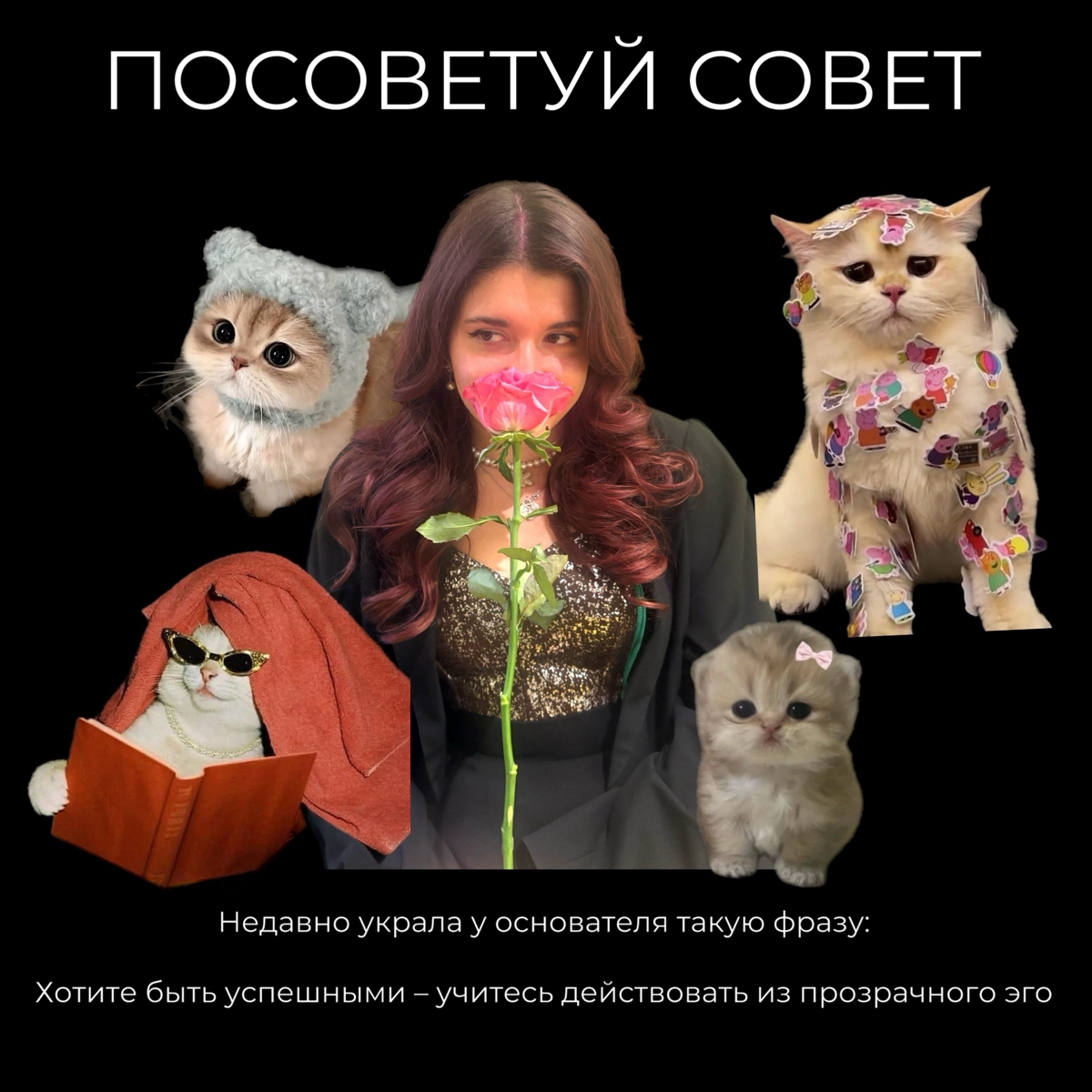 Сегодня ровно 5 лет в КРОК | Сетка — новая социальная сеть от hh.ru