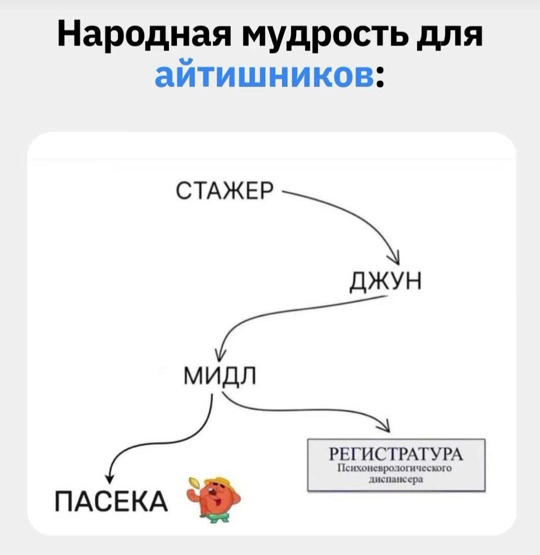 Пути развития в ИТ. | Сетка — новая социальная сеть от hh.ru