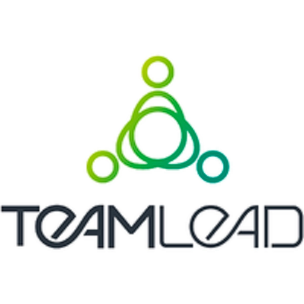 проджекты, TeamLead