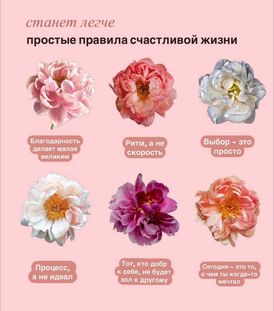 Быть счастливым просто. Не так ли? | Сетка — новая социальная сеть от hh.ru