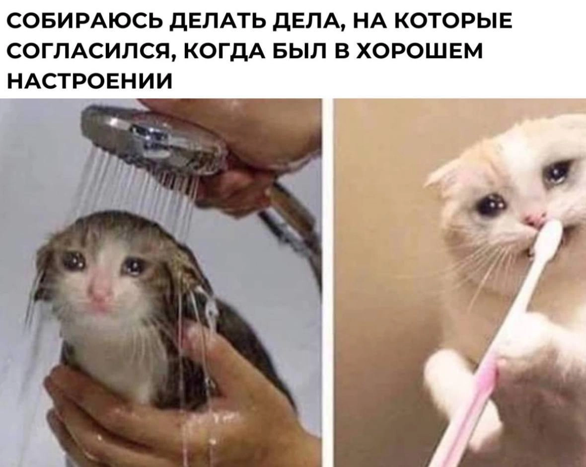 Делись в комментариях своим любимым мемом прошлой недели. 
#понирупор #мемврупор | Сетка — новая социальная сеть от hh.ru