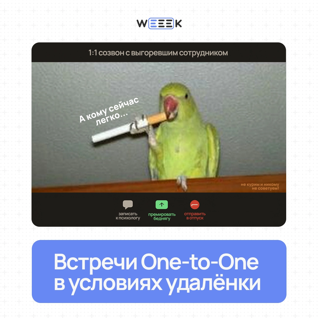 Пст, поговорить надо | Сетка — новая социальная сеть от hh.ru