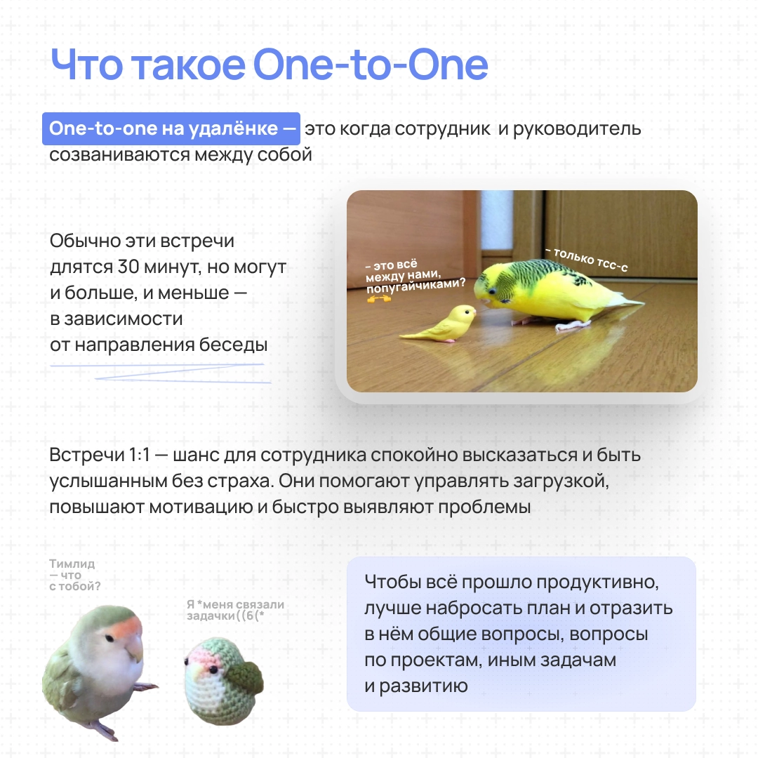 Пст, поговорить надо | Сетка — новая социальная сеть от hh.ru