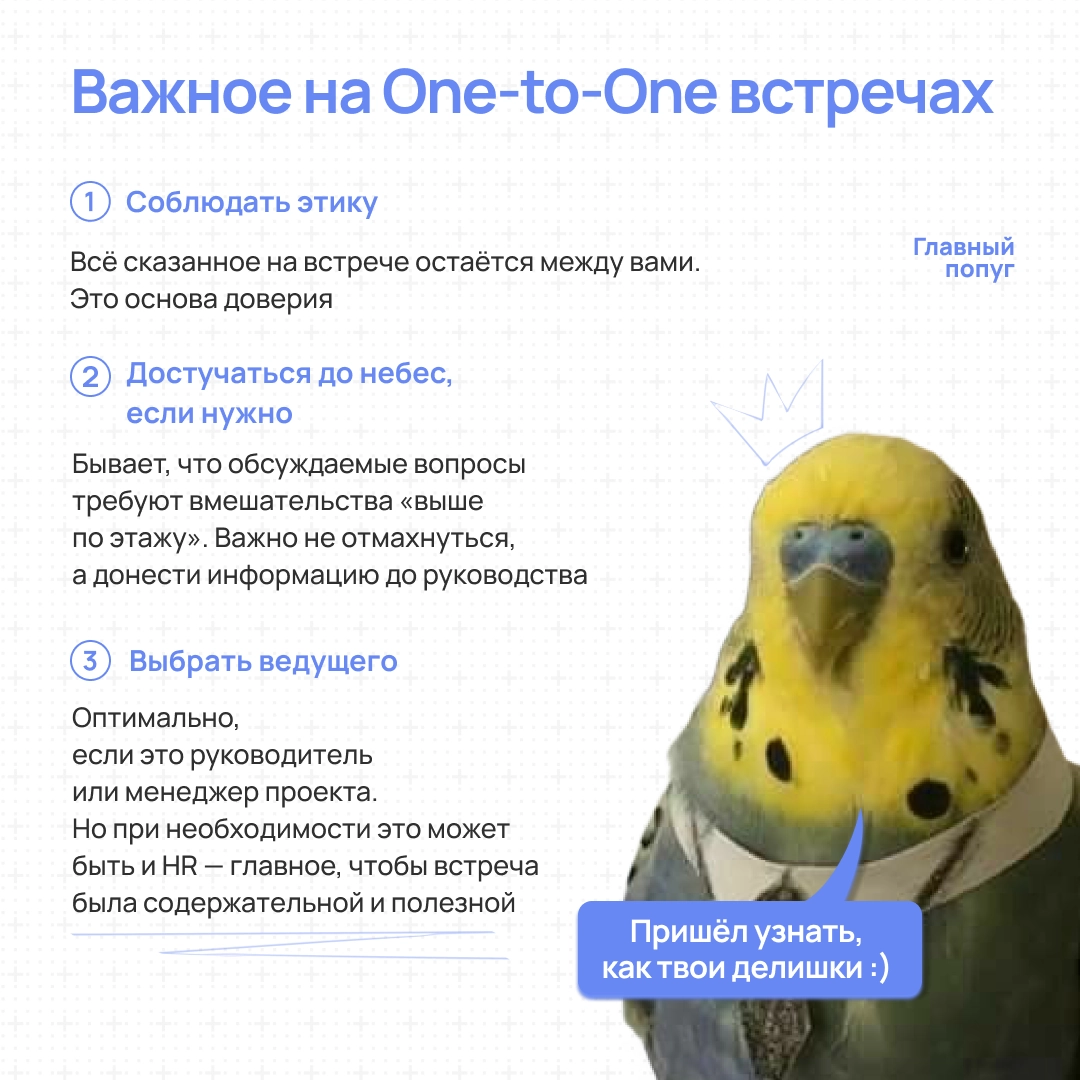 Пст, поговорить надо | Сетка — новая социальная сеть от hh.ru