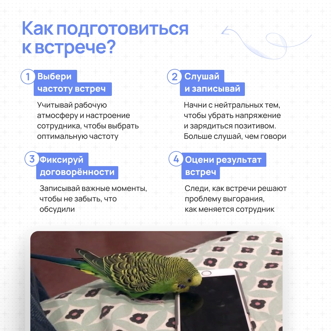 Пст, поговорить надо | Сетка — новая социальная сеть от hh.ru
