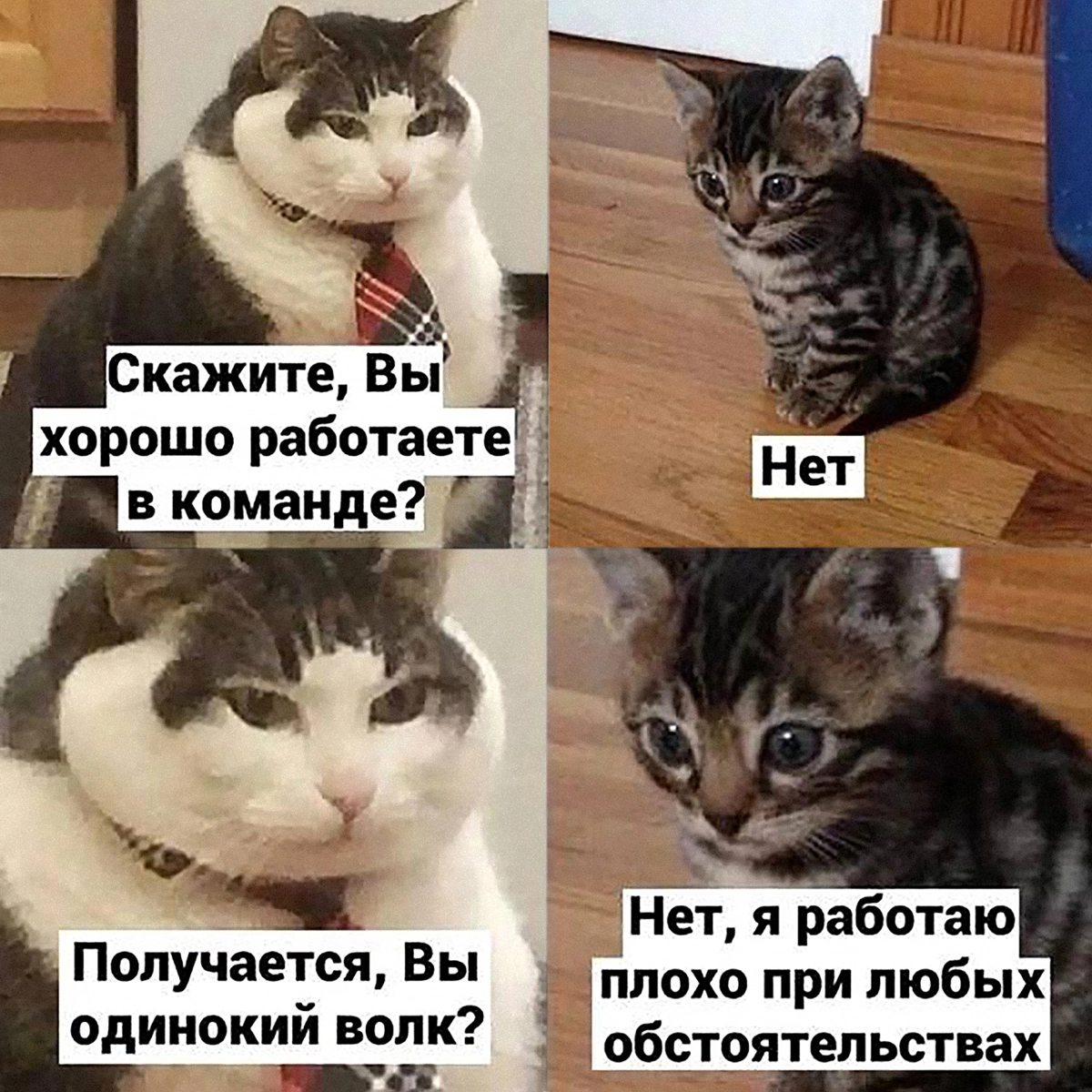 Треш собеседования | Сетка — социальная сеть от hh.ru