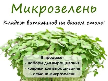 🌾КАКАЯ МИКРОЗЕЛЕНЬ ЛУЧШЕ? РАССМОТРИМ НЕСКОЛЬКО ВИДОВ ПОПУЛЯРНОЙ МИКРОЗЕЛЕНИ 🔥  
🧐ОТ ЧЕГО ЗАВИСИТ ВЫБОР?
Ответ на вопрос, какая микрозелень лучше, индивидуален | Сетка — новая социальная сеть от hh.ru