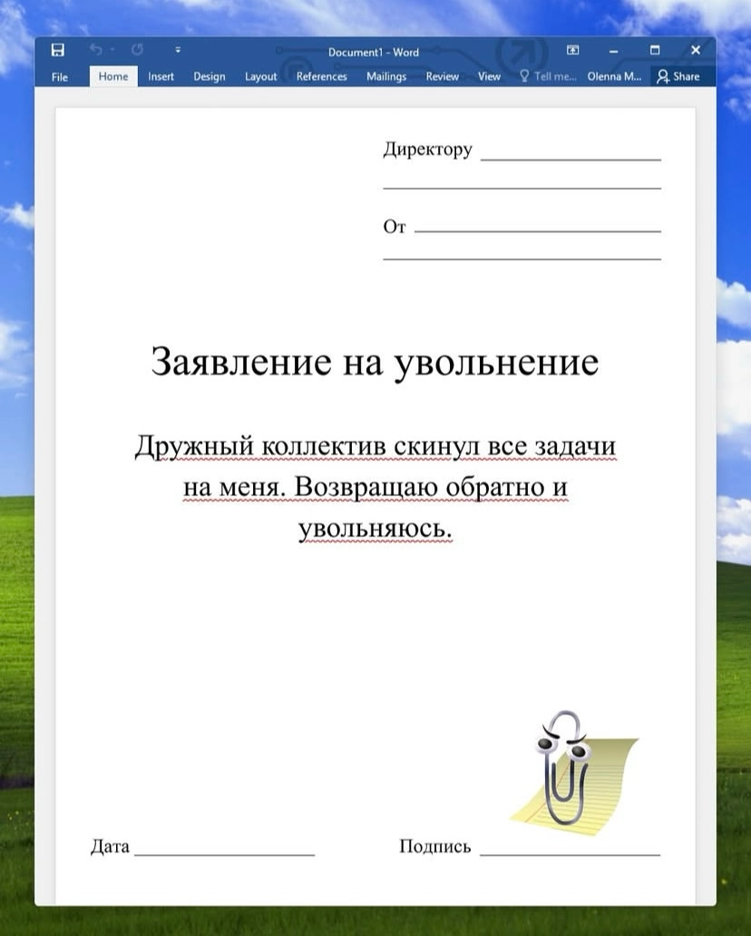 Интересный дизайн документов 😁 | Сетка — новая социальная сеть от hh.ru