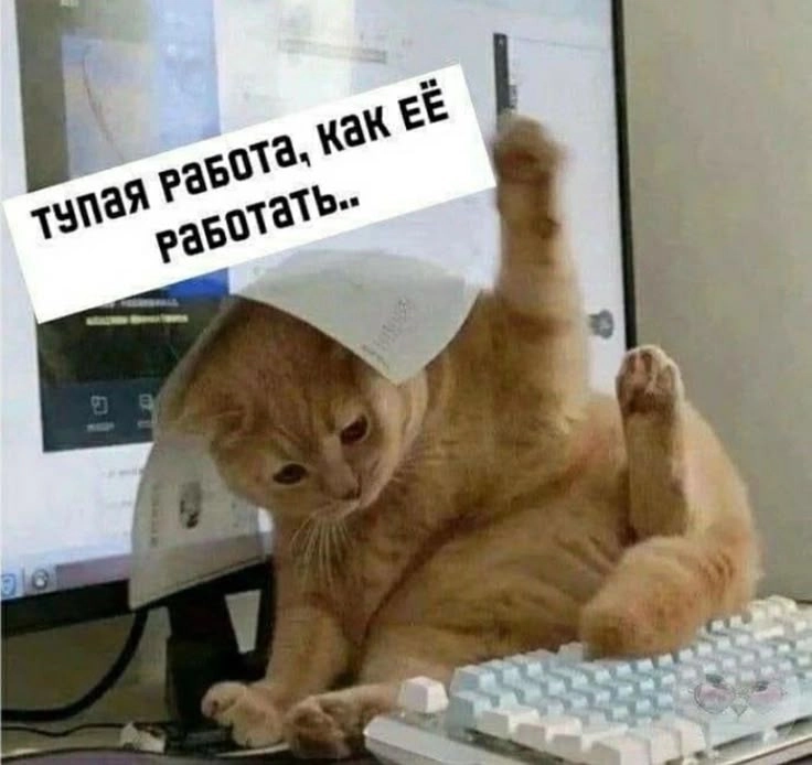 Личный чат с CEO: как обойти HR | Сетка — новая социальная сеть от hh.ru