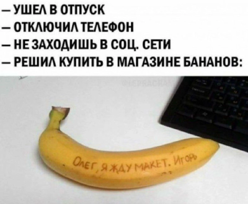 😄 | Сетка — новая социальная сеть от hh.ru