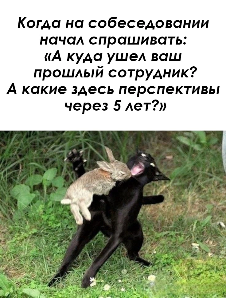 Сетка — новая социальная сеть от hh.ru