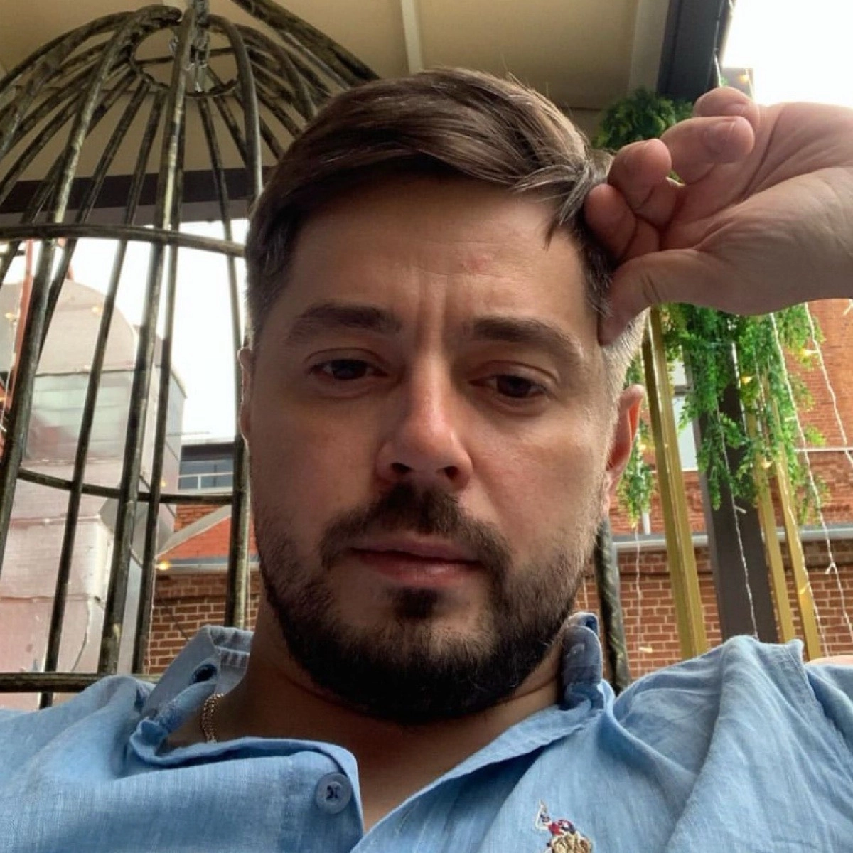 profile avatar