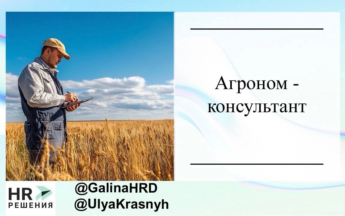 📌 Рубрика актуальные вакансии | Сетка — новая социальная сеть от hh.ru