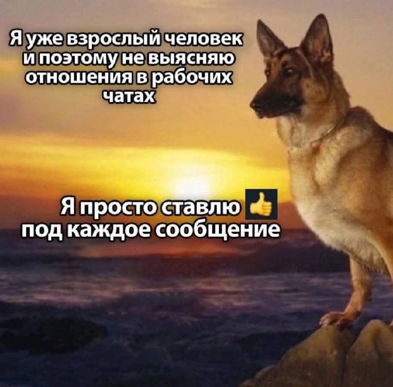👍 | Сетка — новая социальная сеть от hh.ru