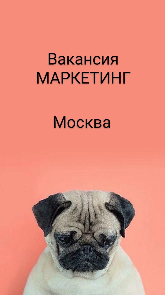 #вакансия #маркетинг
Ищем Лидера маркетинговых стратегий по направлению Турция (Анталия, Бодрум, Стамбул) в Туроператор премиального сегмента. Вакансия на постоянную работу с полной занятостью | Сетка — новая социальная сеть от hh.ru