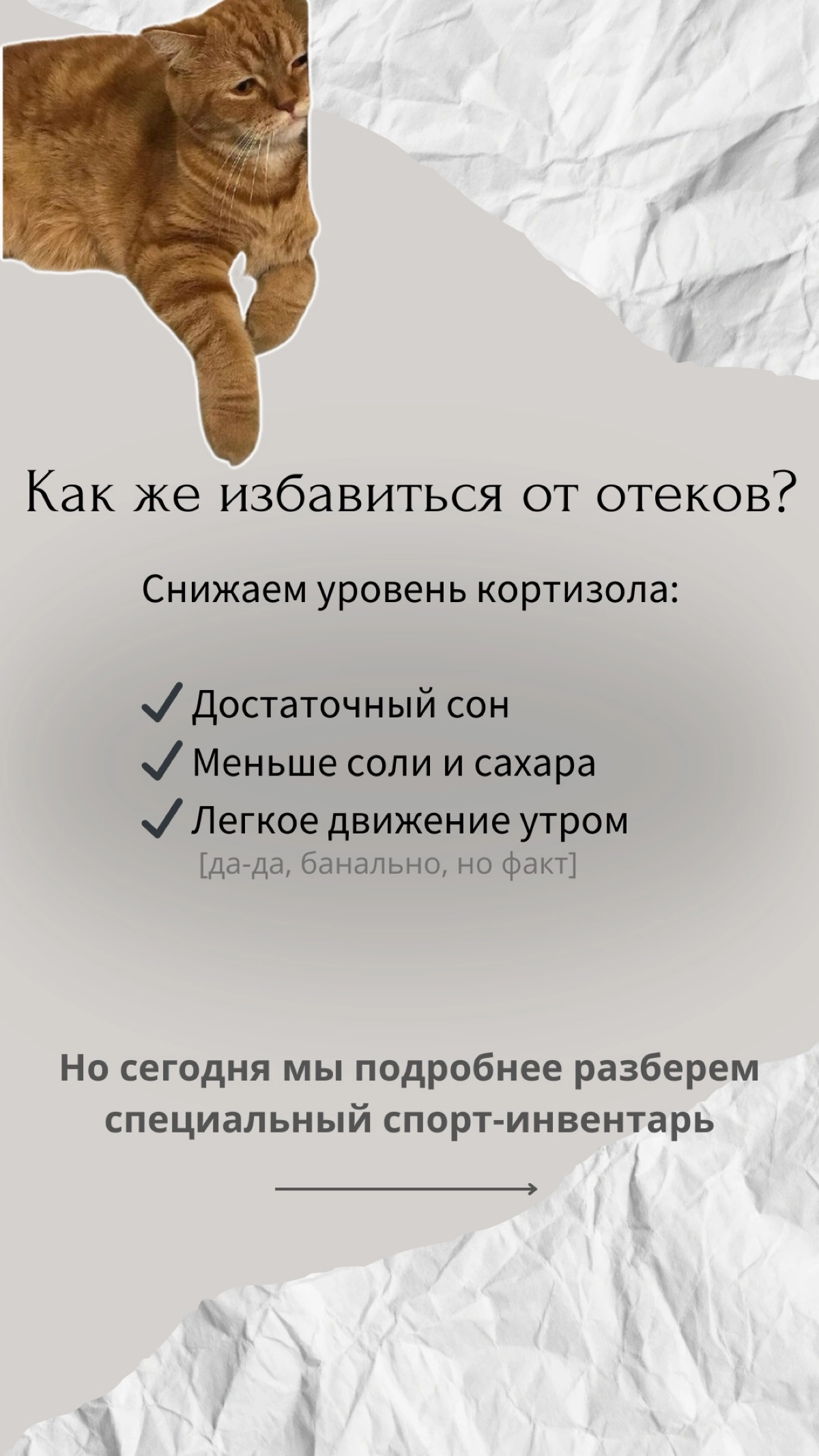 Возьмусь за проекты/ ведение SMM ♥️ | Сетка — новая социальная сеть от hh.ru