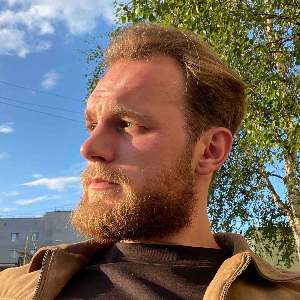 profile avatar