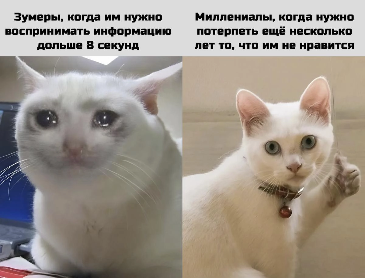 Как работать с зумерами
Если честно надоело отовсюду слушать бред про зумеров. То они не знают что такое сроки и ответственность | Сетка — новая социальная сеть от hh.ru