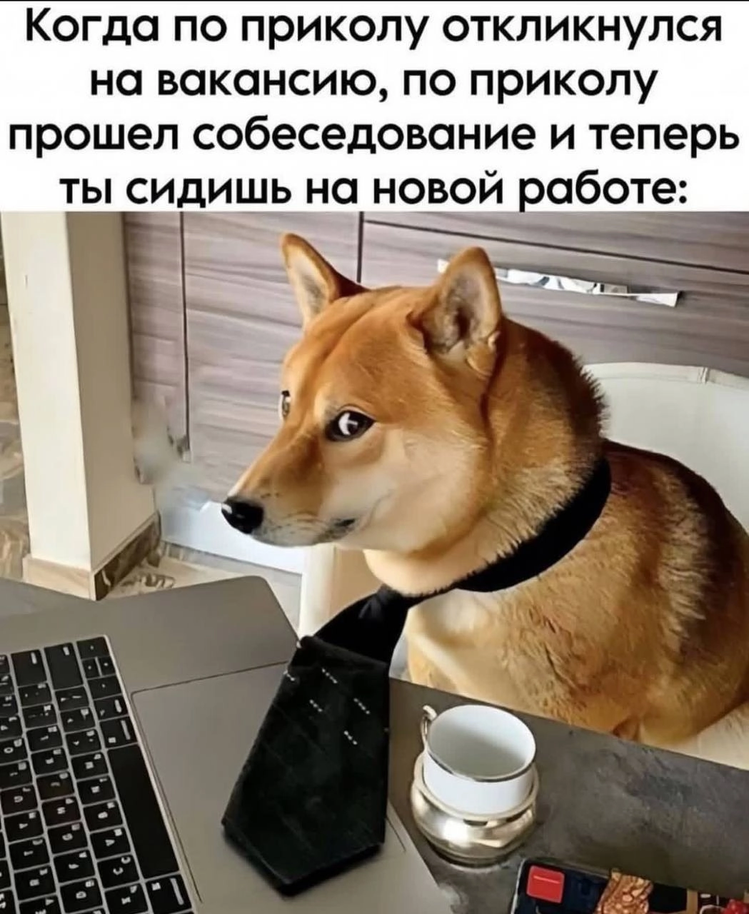 Мы здесь, чтобы поднять вам настроение 💚 | Сетка — новая социальная сеть от hh.ru