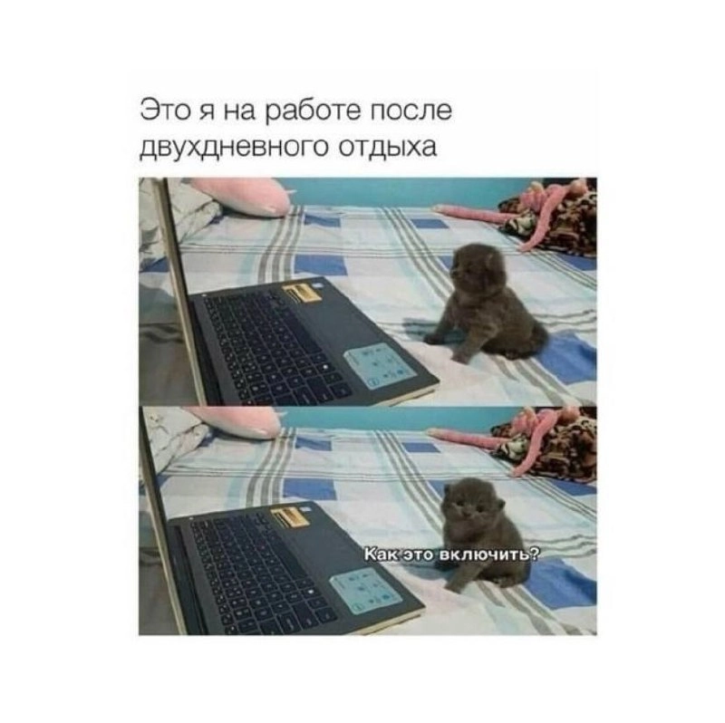 Мы здесь, чтобы поднять вам настроение 💚 | Сетка — новая социальная сеть от hh.ru