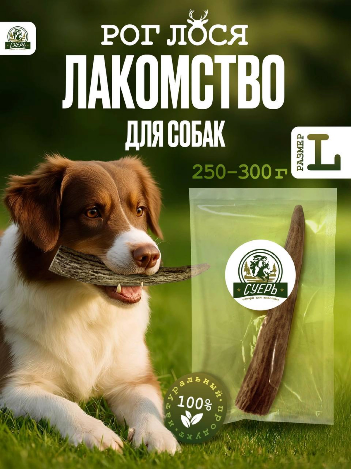 Инфографика для товара “Лакомство для собак” | Сетка — новая социальная сеть от hh.ru