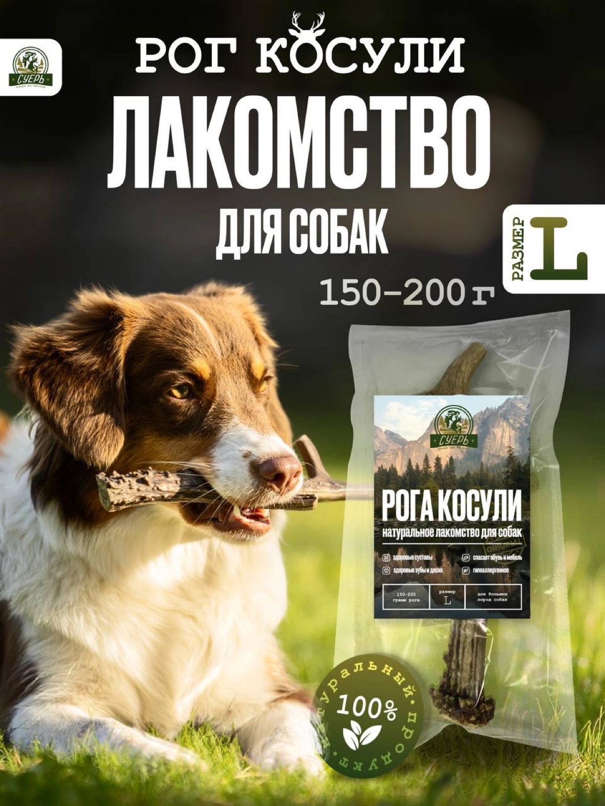 Инфографика для товара “Лакомство для собак” | Сетка — новая социальная сеть от hh.ru