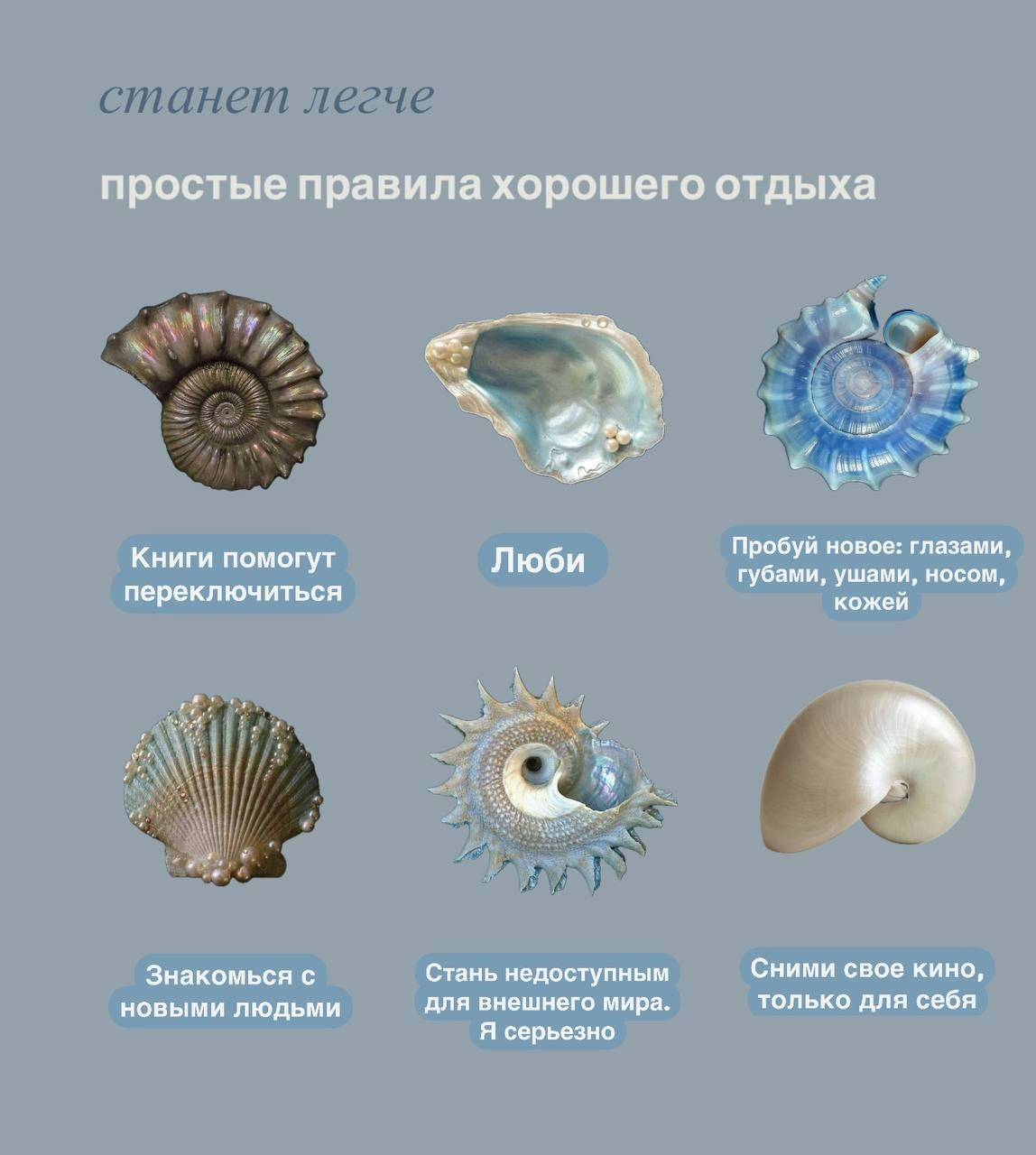 Через несколько часов я улетаю. 
Не скрою, я очень рада. Очень
🤩🐚🤩 | Сетка — новая социальная сеть от hh.ru