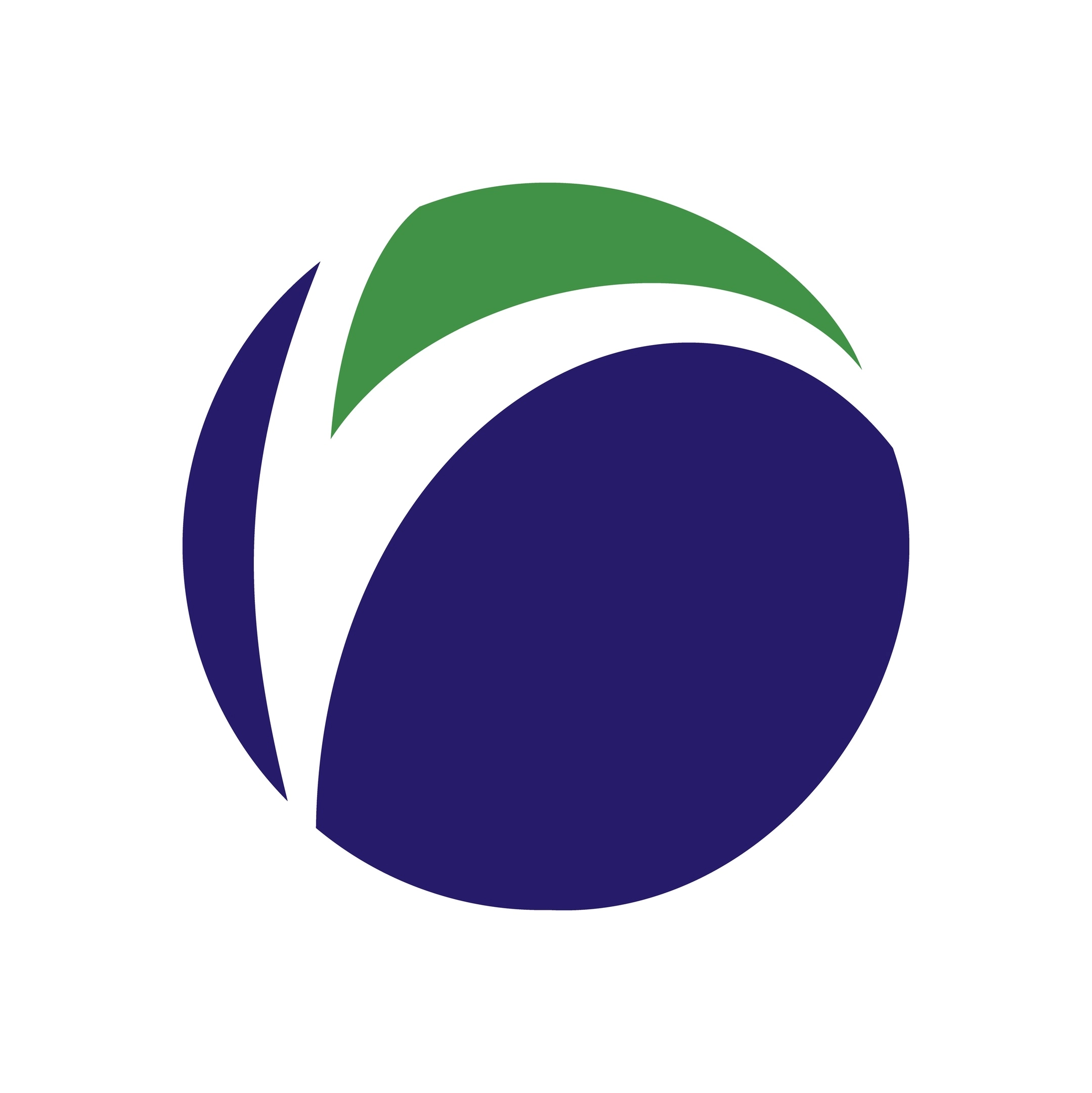 company logo