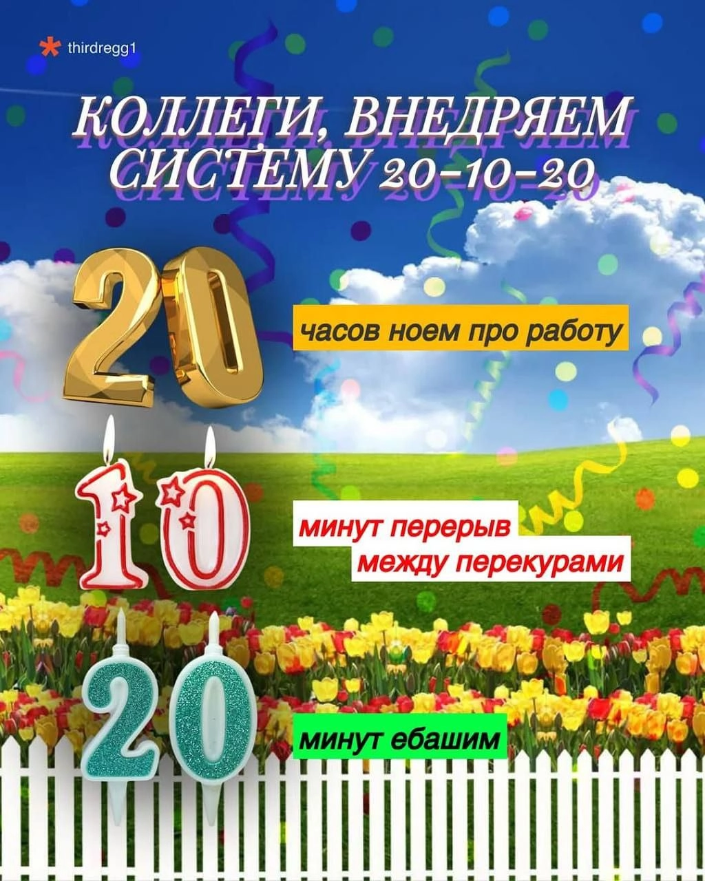 Начинаем с этой недели 🐙 | Сетка — новая социальная сеть от hh.ru