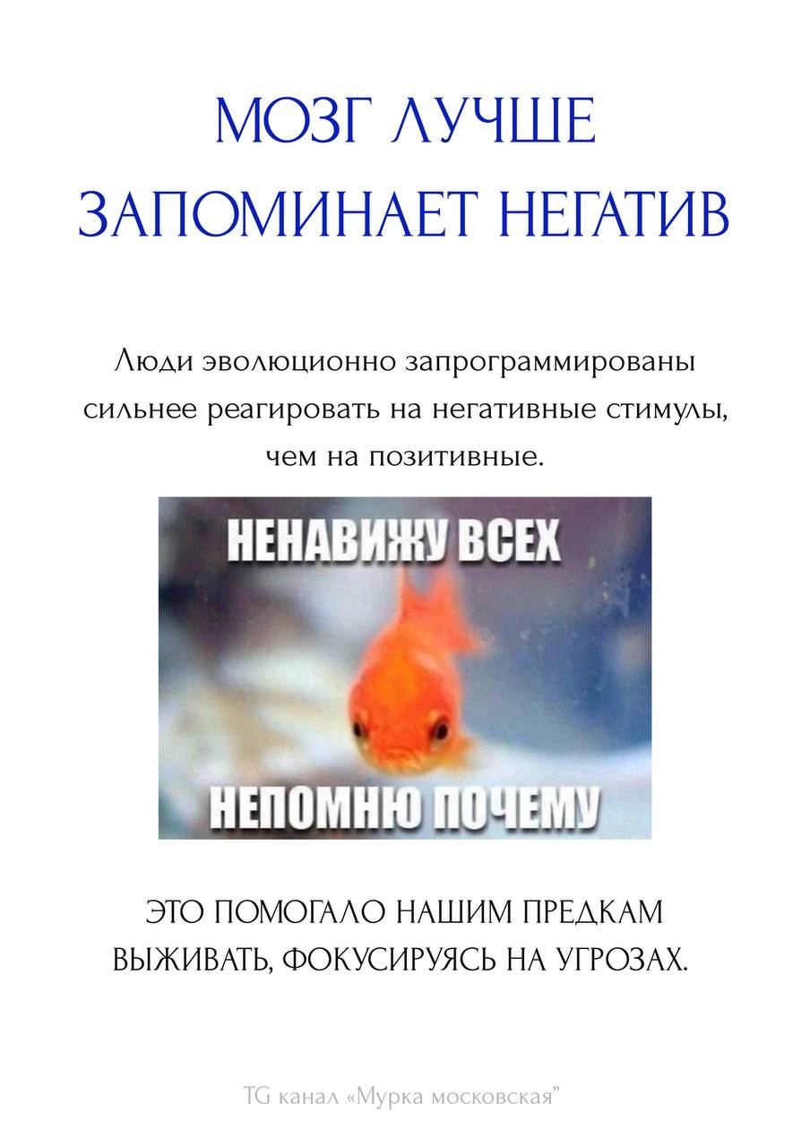 Садись, тройка! 
Пишу стратегию, кропею, смотрю исследования, чтобы доказать своё мнение. Короче, когда в следующий раз вас босс попросит в креатив впихнуть ВООБЩЕ ВСЁ, покажите ему этот пост | Сетка — социальная сеть от hh.ru