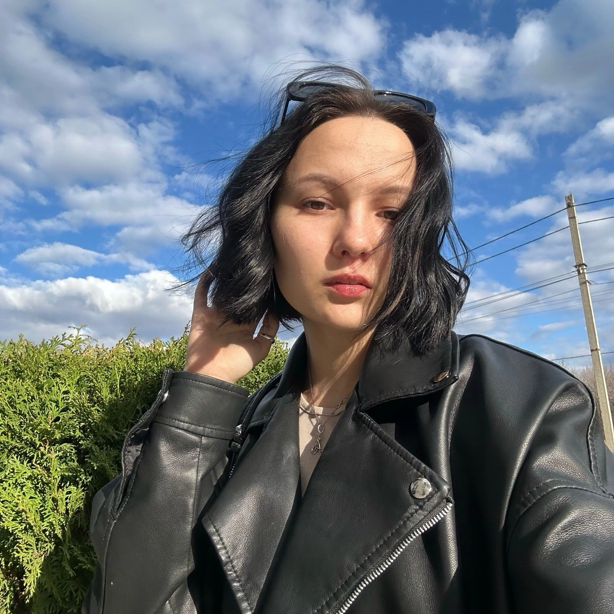 profile avatar
