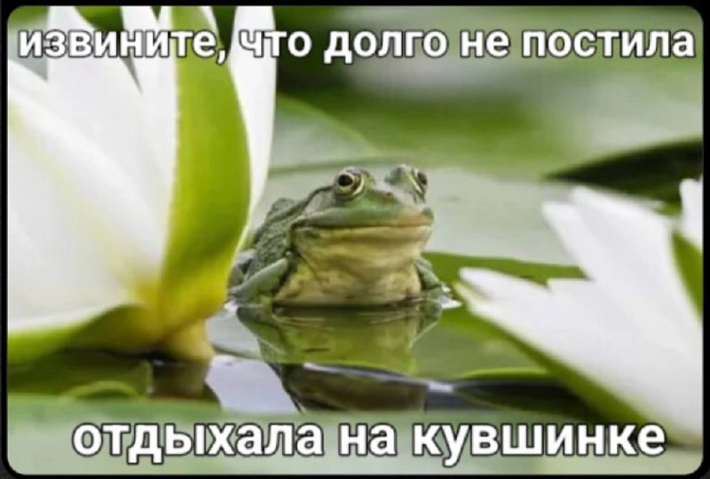 Извините, отчетный период) 🐸 | Сетка — новая социальная сеть от hh.ru