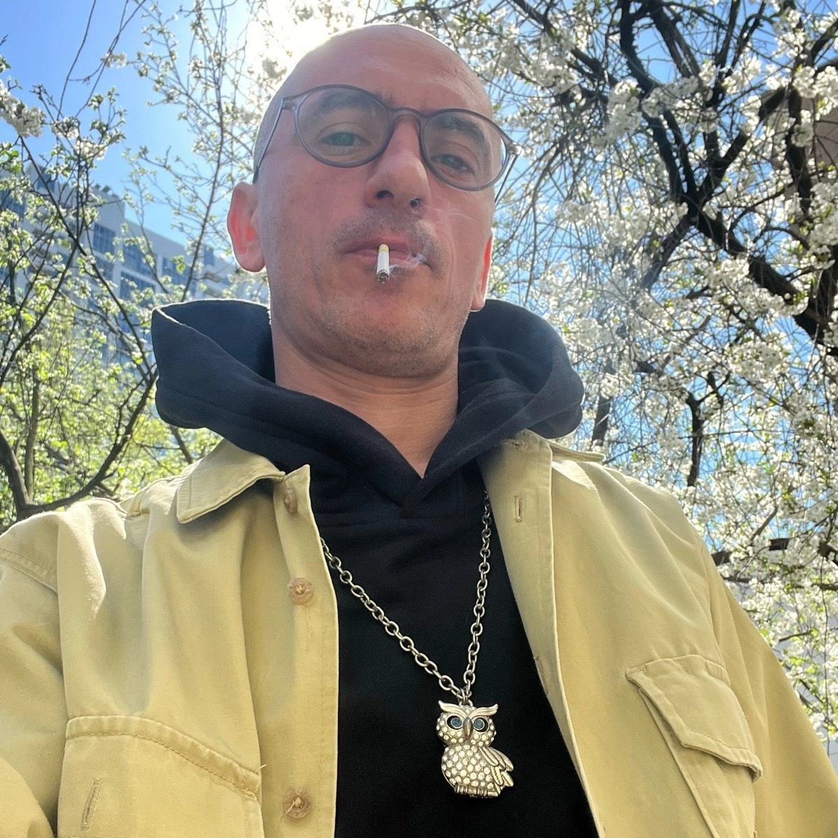 profile avatar