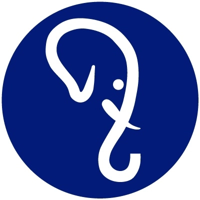 company logo